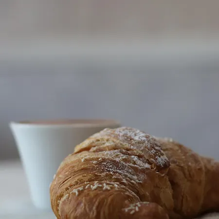 Paradiso 4* 팔레나